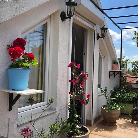 With Terrace In The Center Od Apartment Vodice
