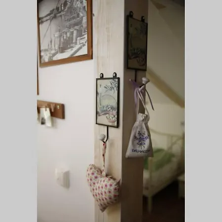 With Terrace In The Center Od Appartement