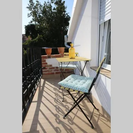 With Terrace In The Center Od Appartement *